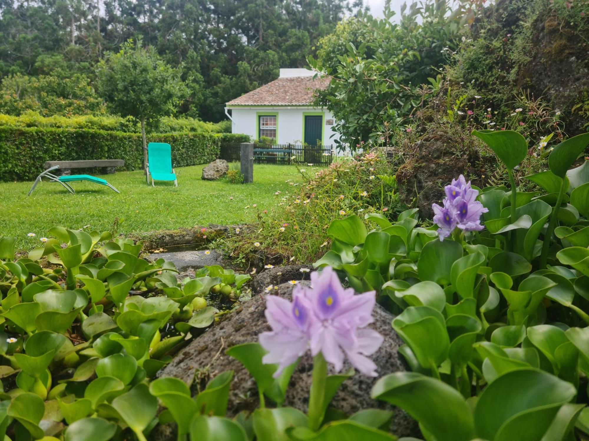 Stonewood Lodge Al São Vicente Ferreira Εξωτερικό φωτογραφία