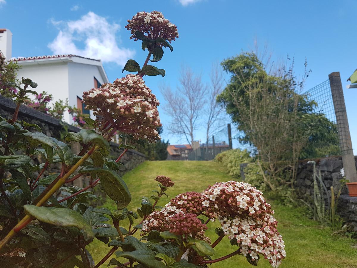 Stonewood Lodge Al São Vicente Ferreira Εξωτερικό φωτογραφία